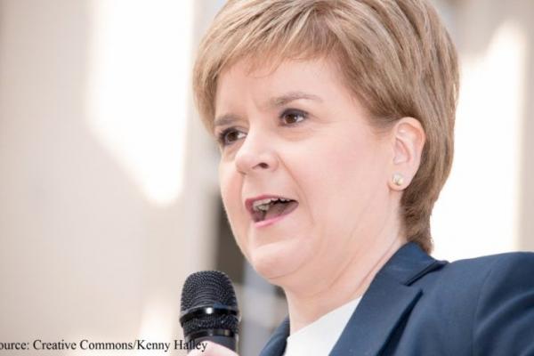 Sturgeon