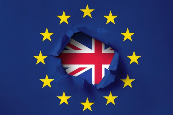 Brexit Jack